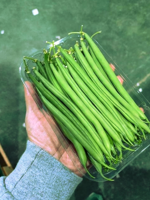 Haricot vert - packging