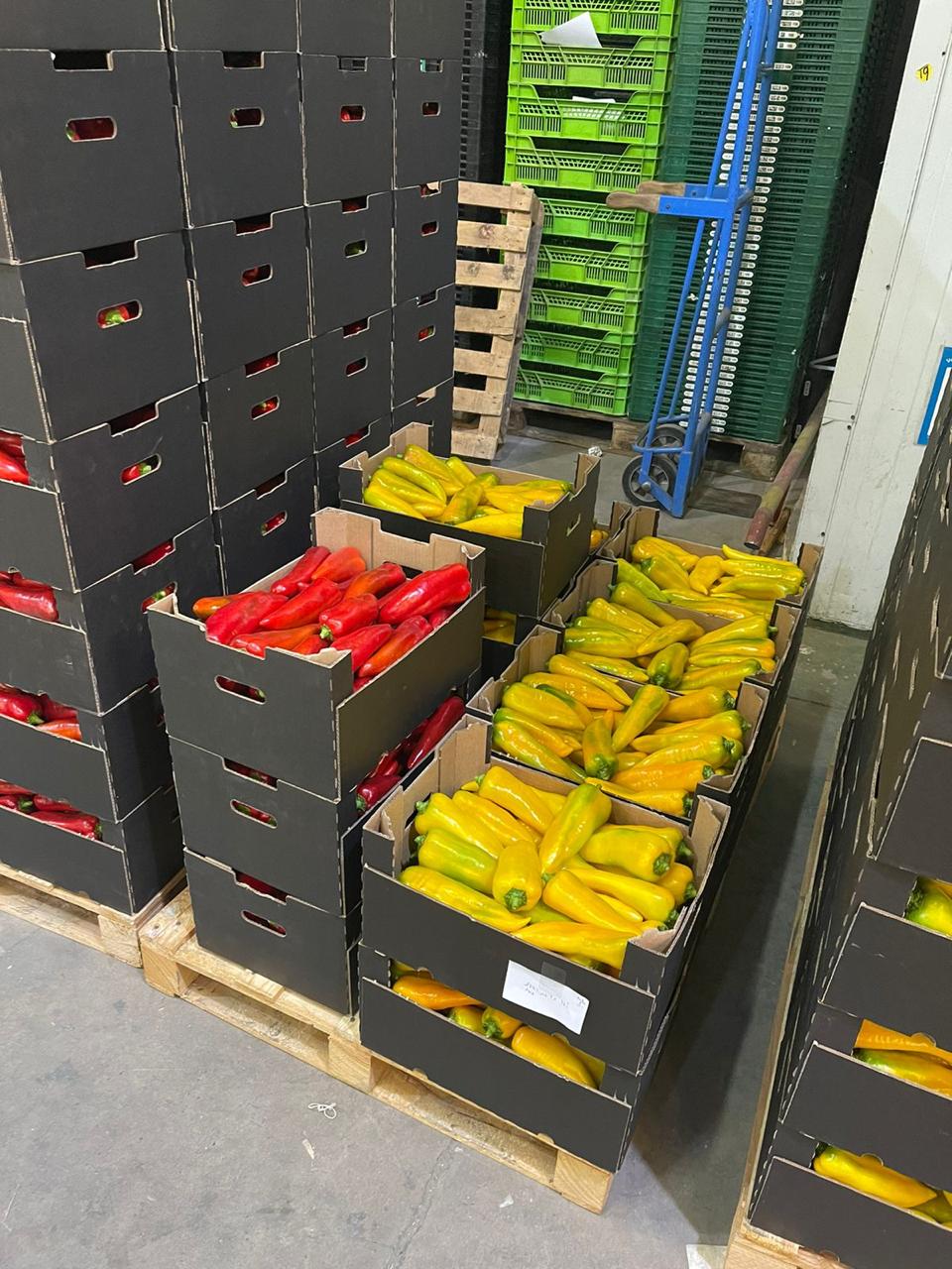 WhatsApp Image 2026-01-08 at 18.10.445